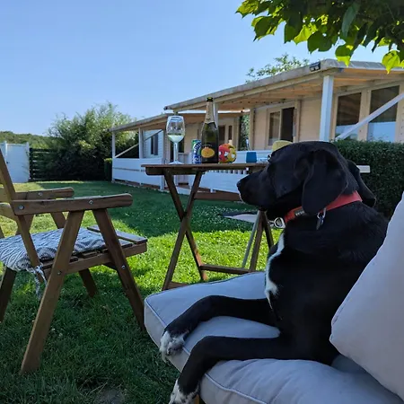 Σπίτι διακοπών къщички морски светулки