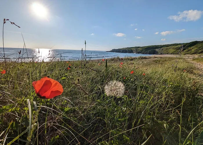къщички морски светулки Sinemoretz