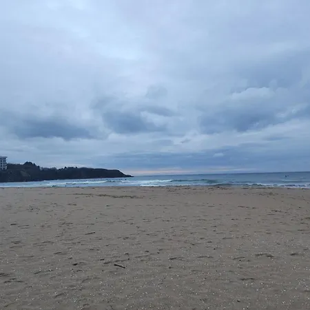 къщички морски светулки