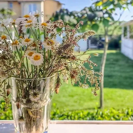 къщички морски светулки Dom wakacyjny Sinemorec