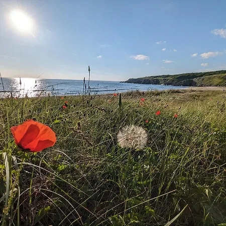 къщички морски светулки Sinemorec